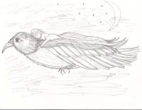 Night Wings